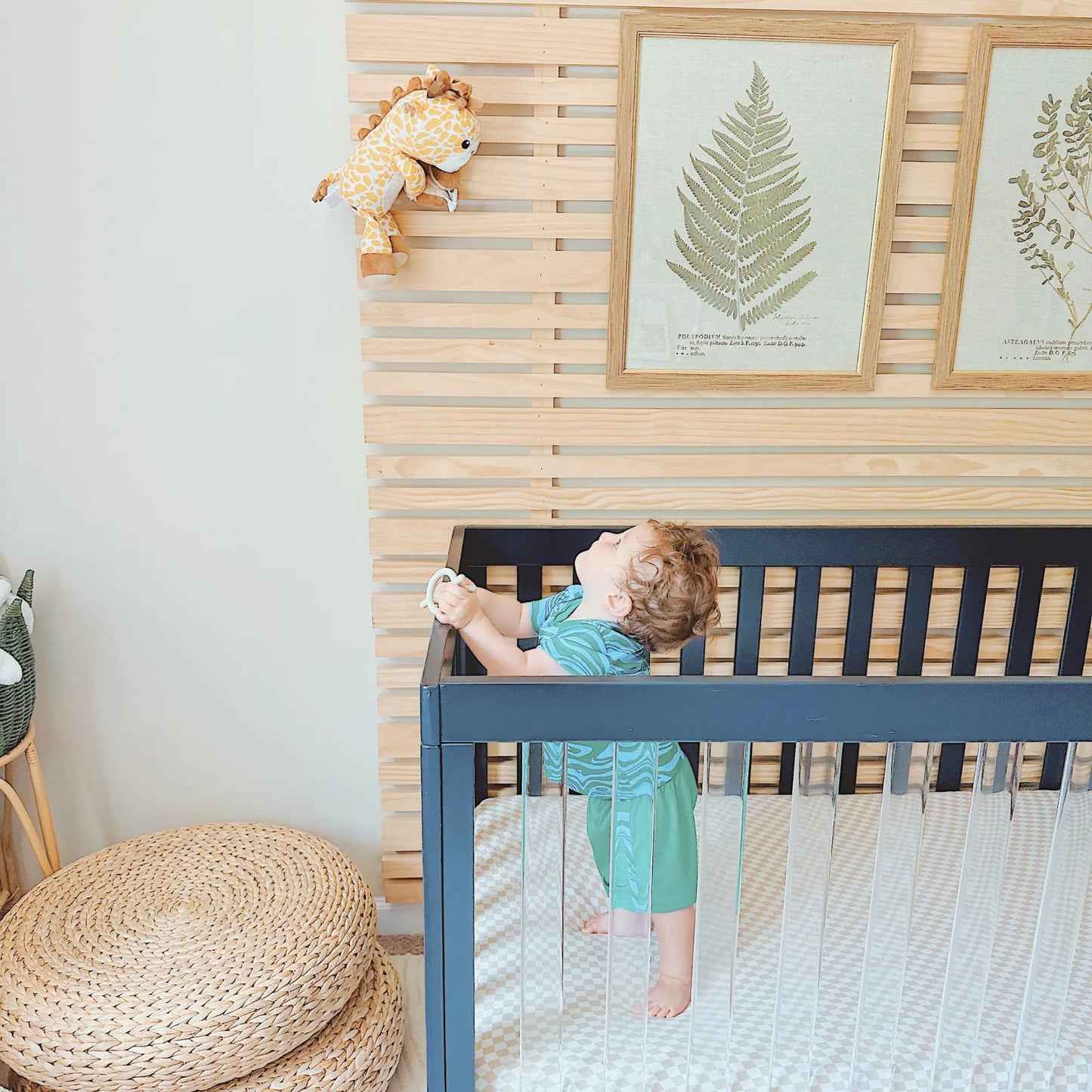 zooby® baby monitor | Jordan Giraffe - Get it from Bo