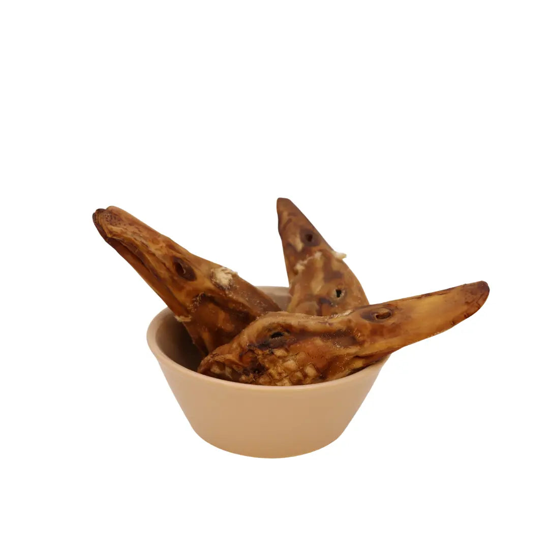 Duck Head Gaines Family Farmstead