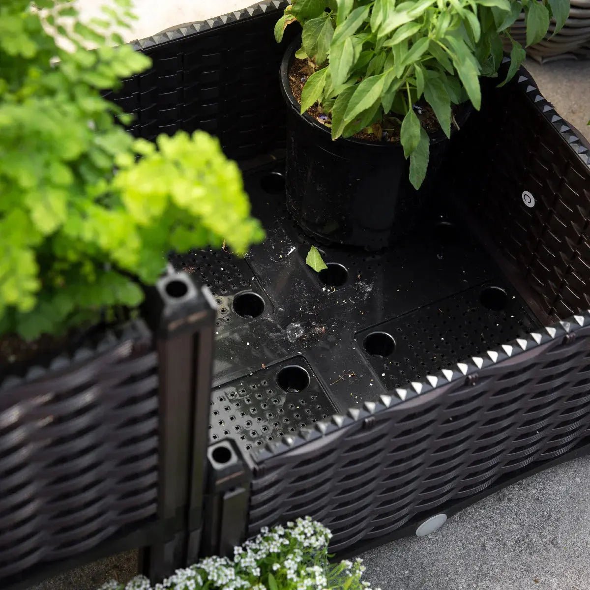 Barton 2 Pieces Raised Garden Bed Brown Plastic w/Self-Watering Design Outdoor - Get it from Bo
