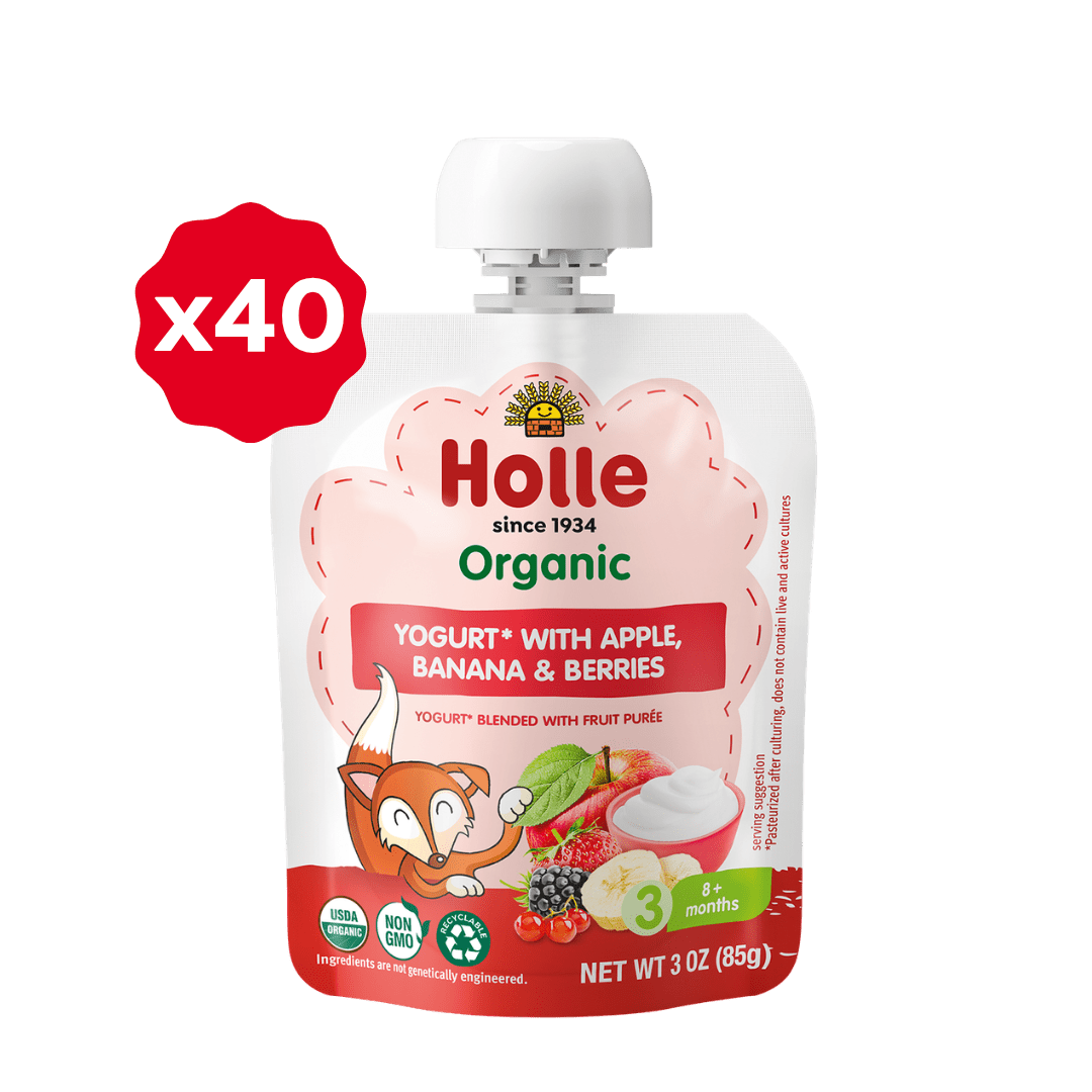 Holle Organic Apple, Banana & Berries Yogurt Pouches - Get it from Bo