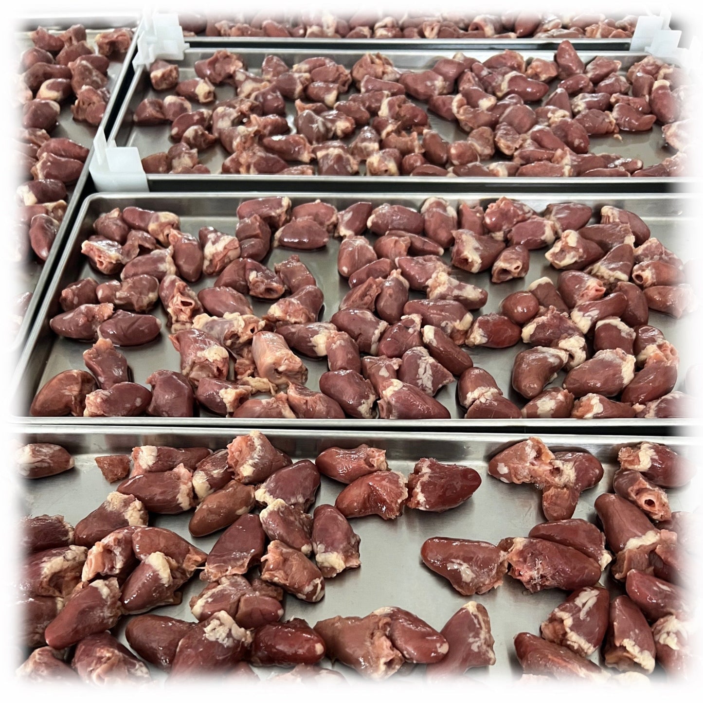 Chicken Hearts Bad Dog Gang