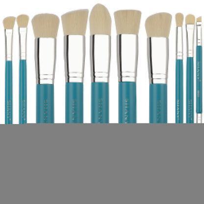 14 Piece Professional Makeup Brush Set - Get it from Bo