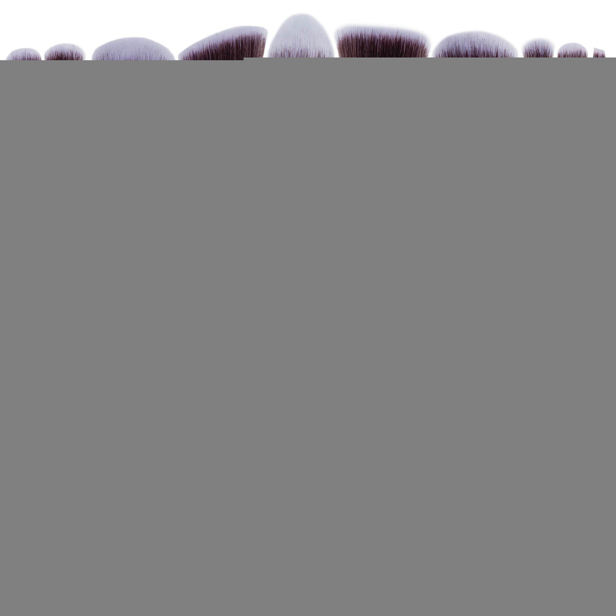 14 Piece Professional Makeup Brush Set - Get it from Bo