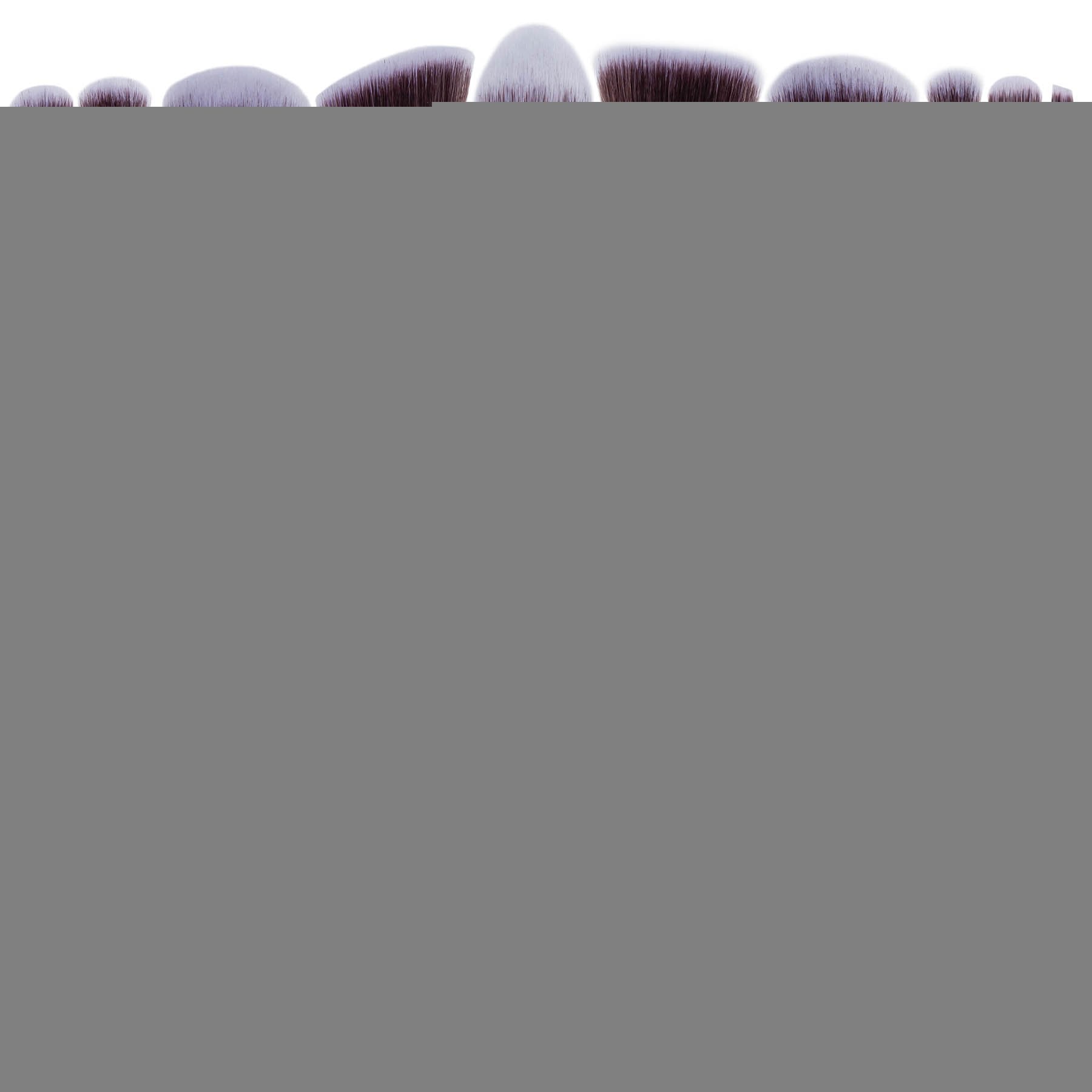 14 Piece Professional Makeup Brush Set - Get it from Bo