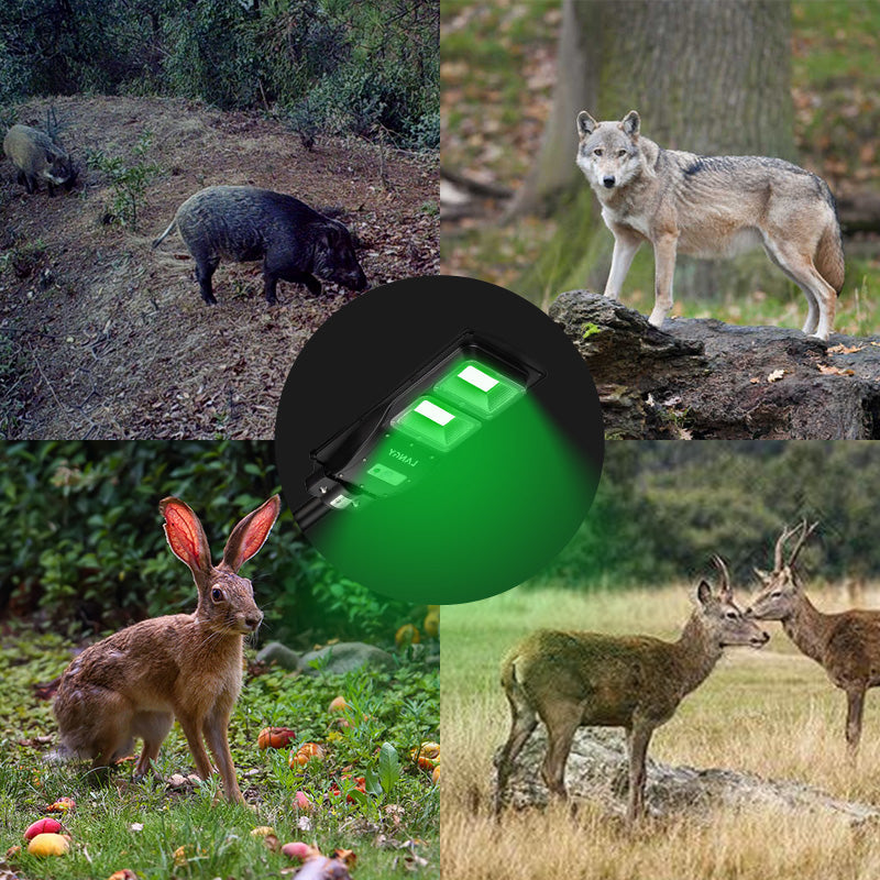 Solar Green Feeder Light for Hunting -10,000 lumens Langy Solar Lights