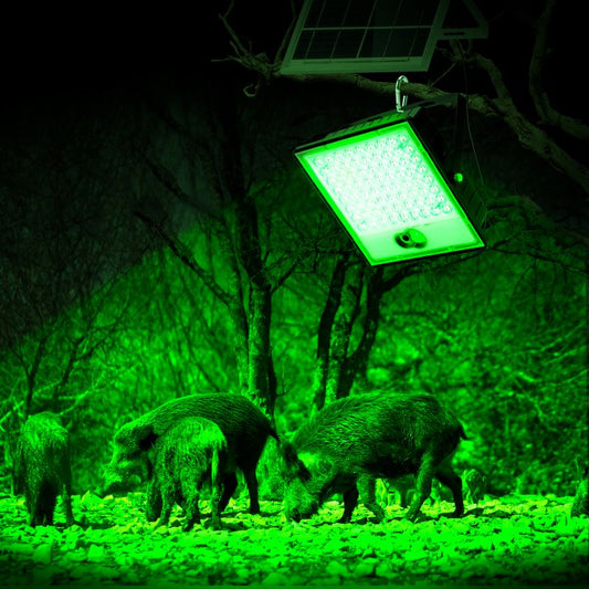 Solar Green Floodlight for Night Hunting -10,000 lumens Langy Solar Lights