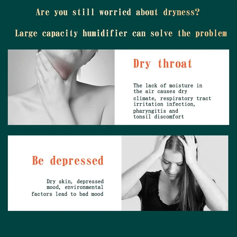 Large Capacity Dual Spray Humidifier Purifier