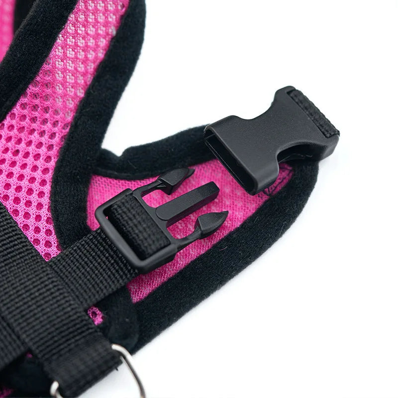 Small Dog Pet Chest and Back Breathable Dog Leash Collar Get it from Bo