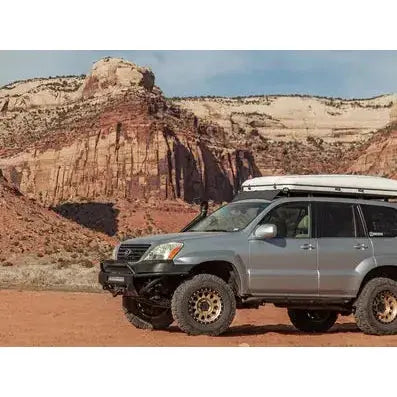 315 | Gold - Black Lip - Get it from Bo