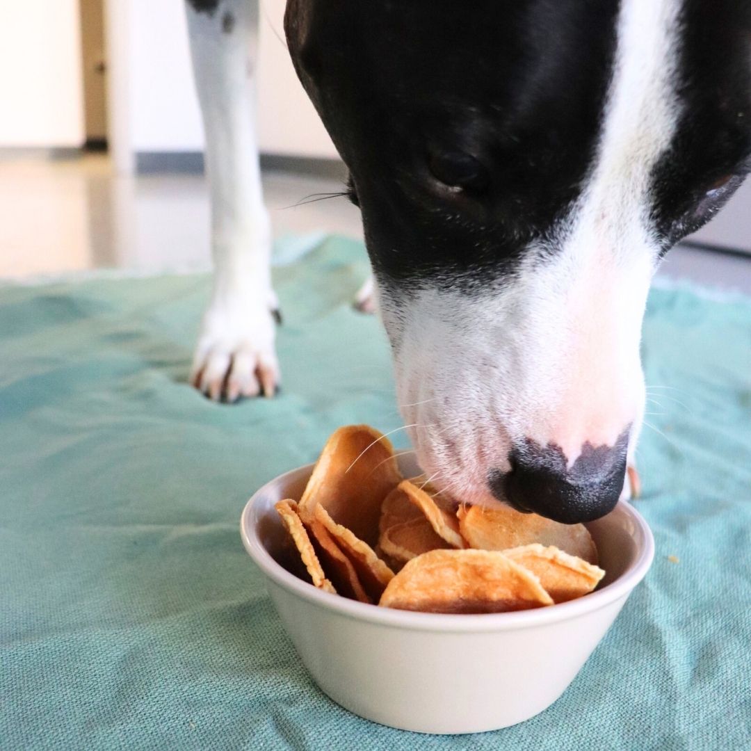 Turkey Tendon Chips Gaines Family Farmstead