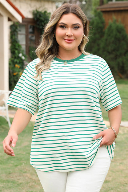 Collins Plus Size Stripe Top