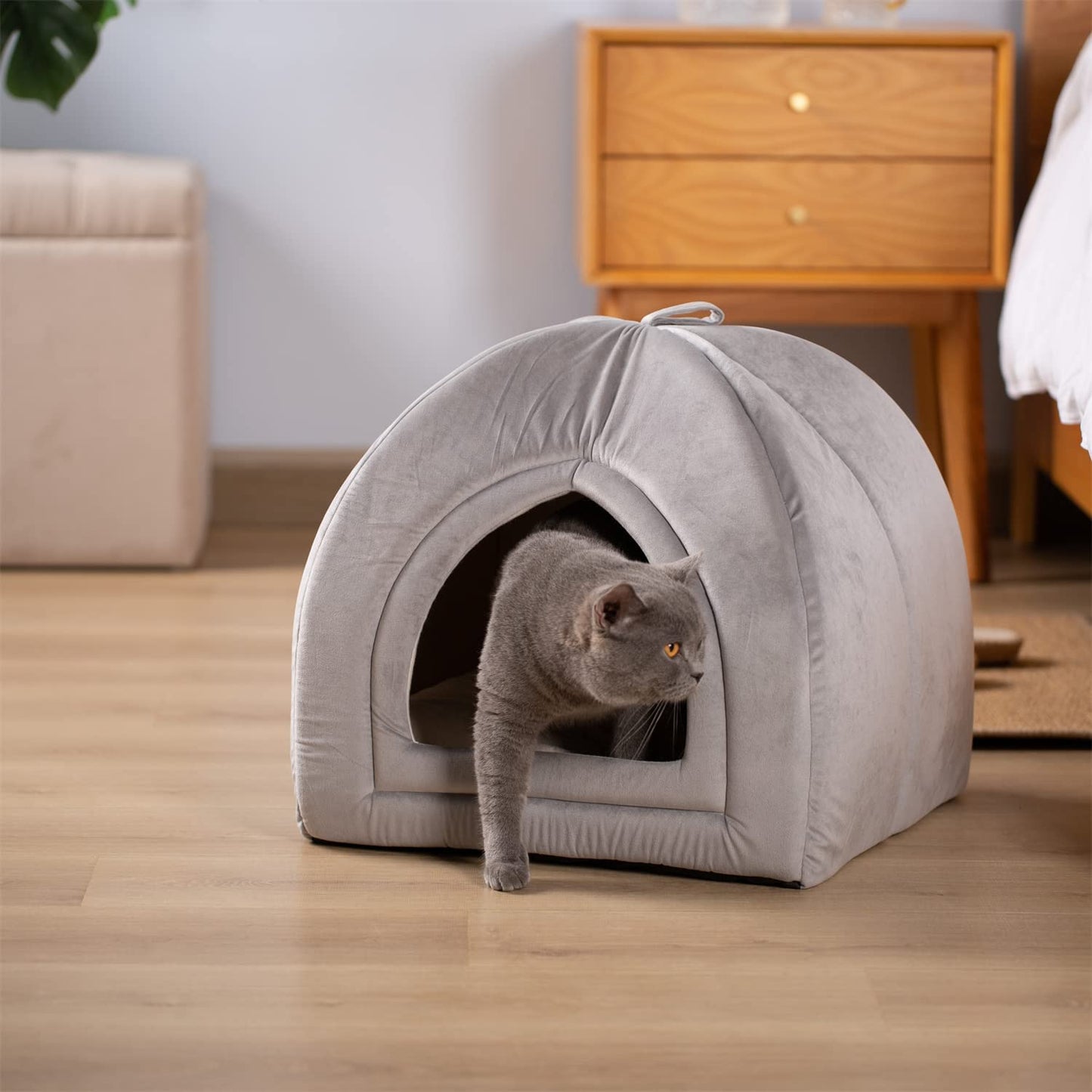Kasentex Cat Bed, Lovely Tent with Removable Washable Pillow Cushion Kasentex