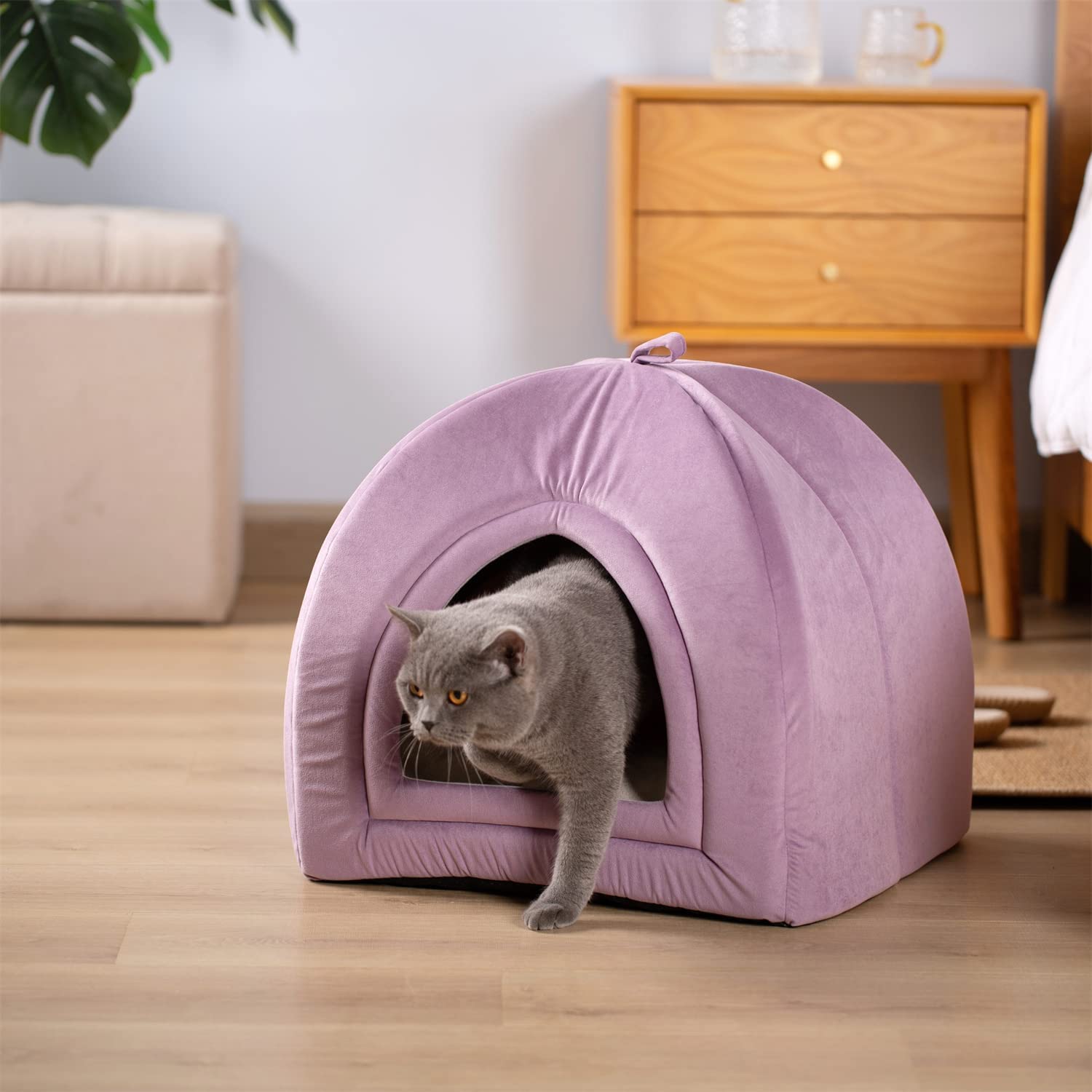Kasentex Cat Bed, Lovely Tent with Removable Washable Pillow Cushion Kasentex