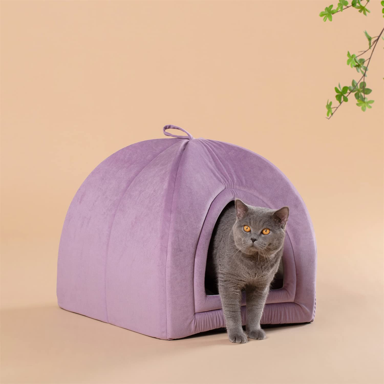 Kasentex Cat Bed, Lovely Tent with Removable Washable Pillow Cushion Kasentex
