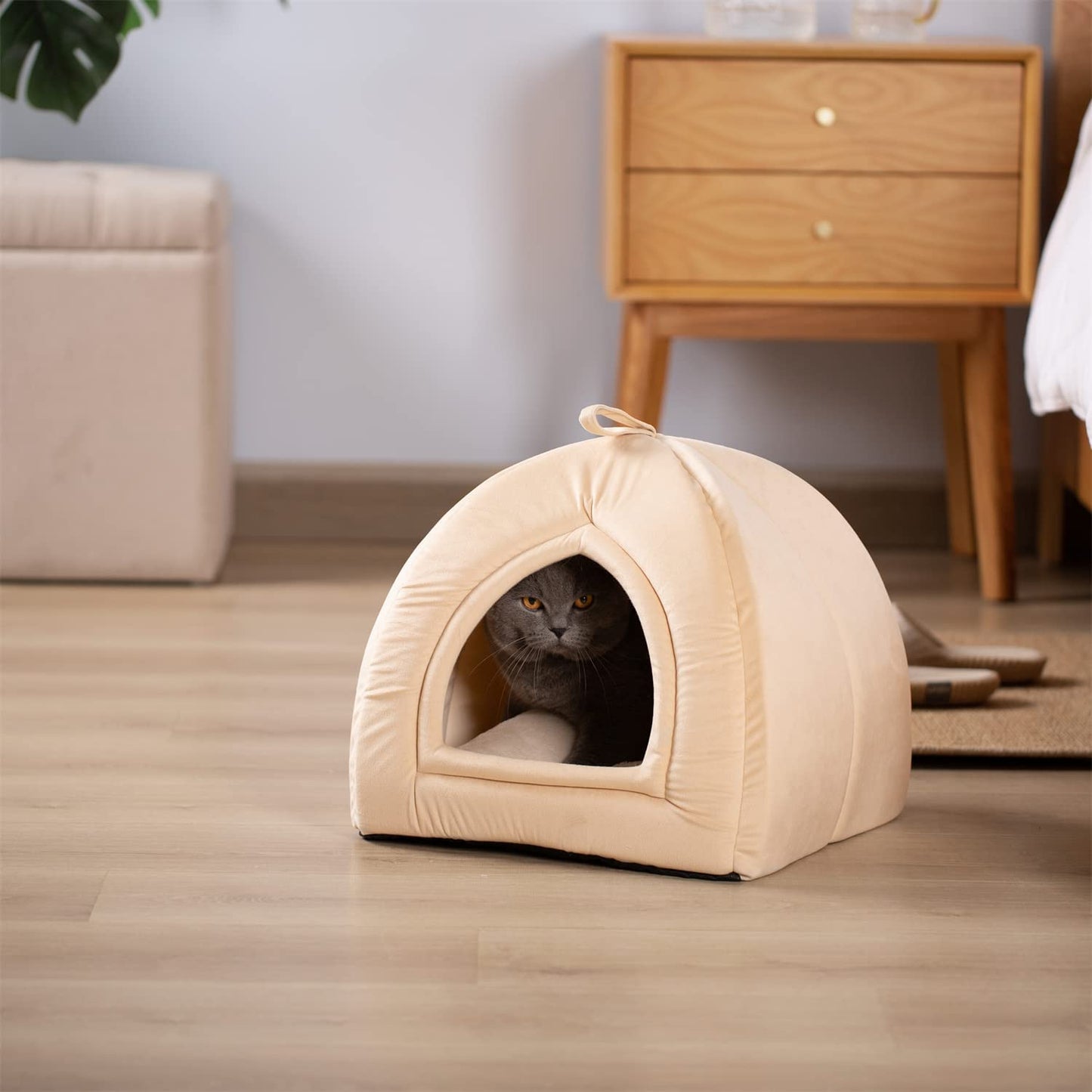 Kasentex Cat Bed, Lovely Tent with Removable Washable Pillow Cushion Kasentex