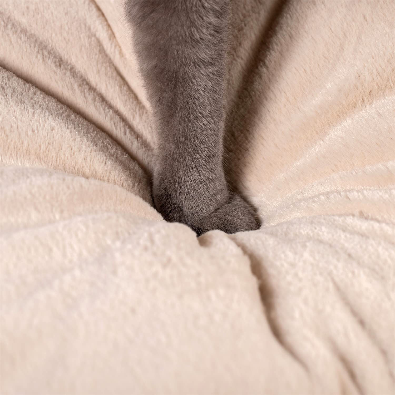 Kasentex Cat Bed, Lovely Tent with Removable Washable Pillow Cushion Kasentex