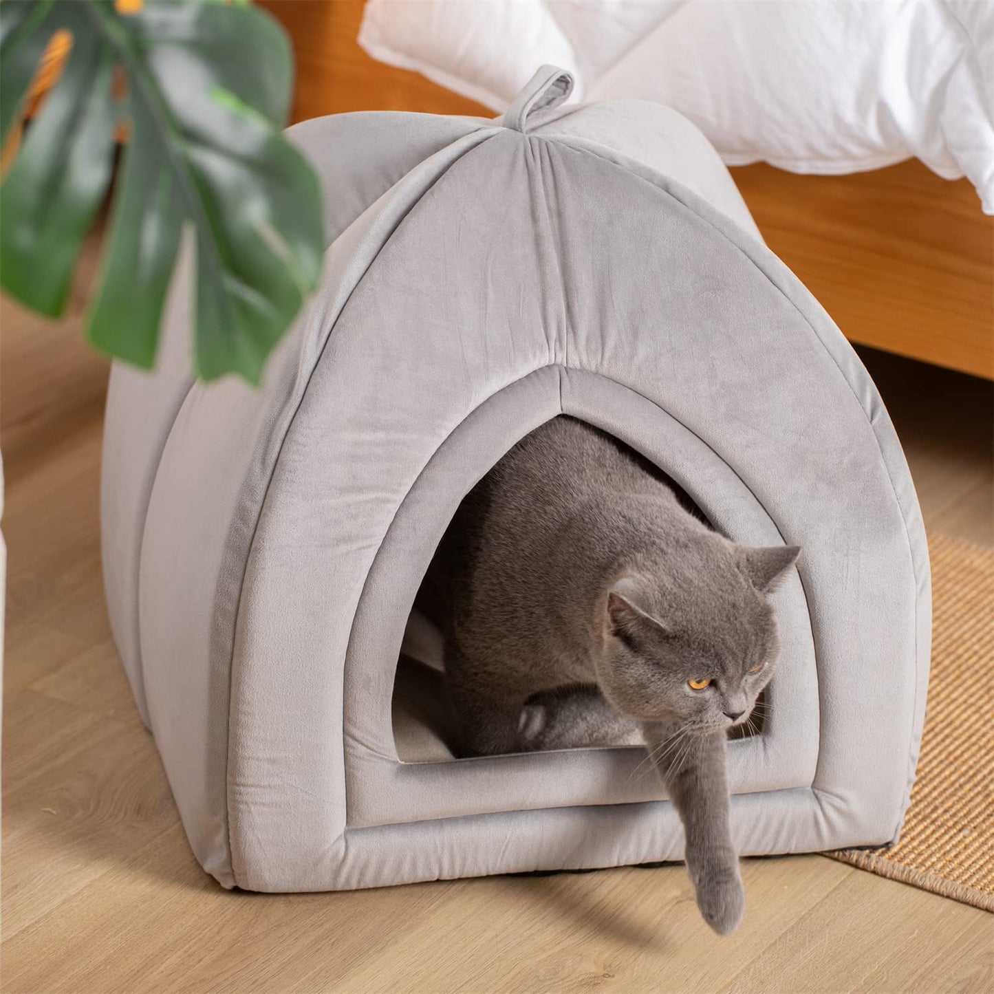 Kasentex Cat Bed, Lovely Tent with Removable Washable Pillow Cushion Kasentex