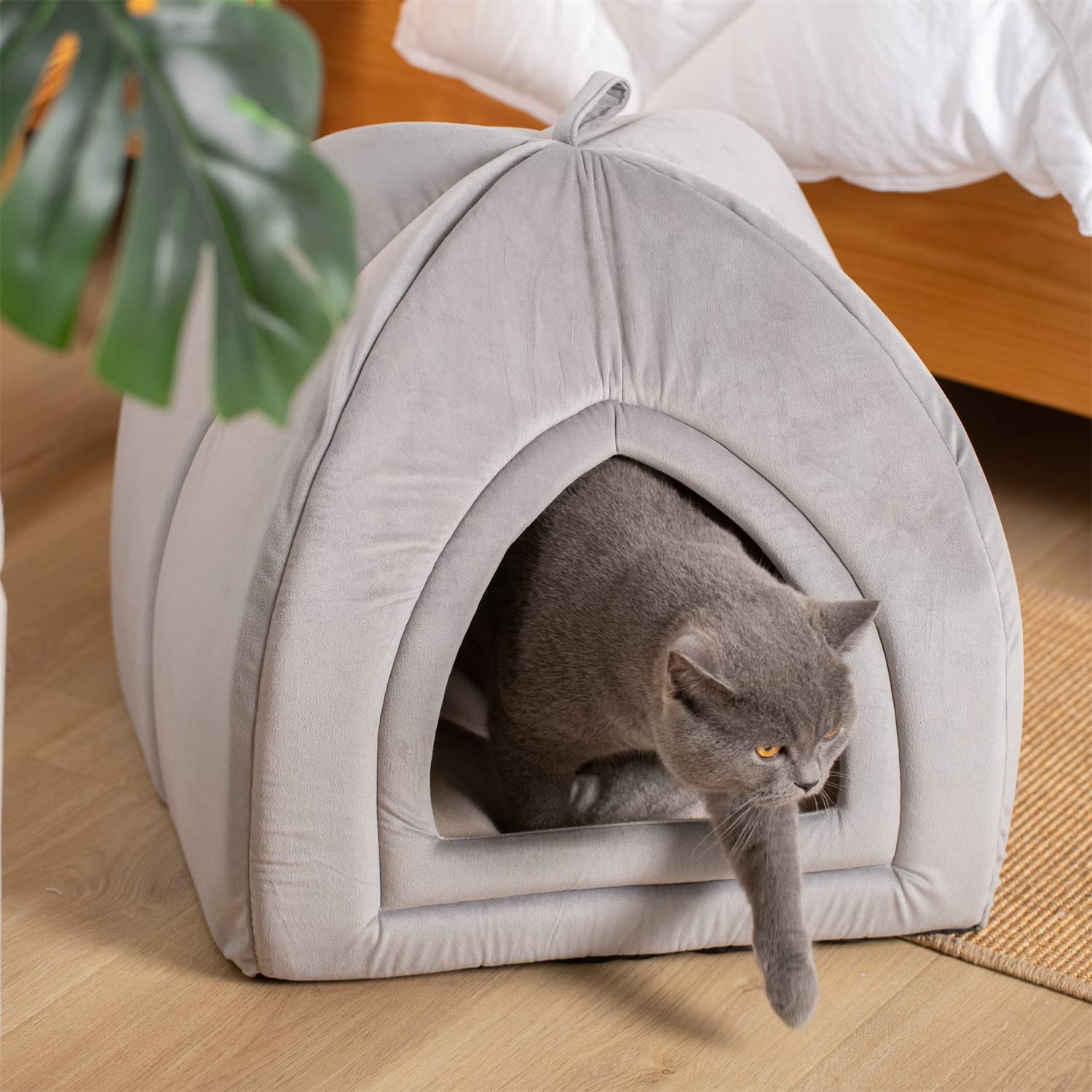 Kasentex Cat Bed, Lovely Tent with Removable Washable Pillow Cushion Kasentex