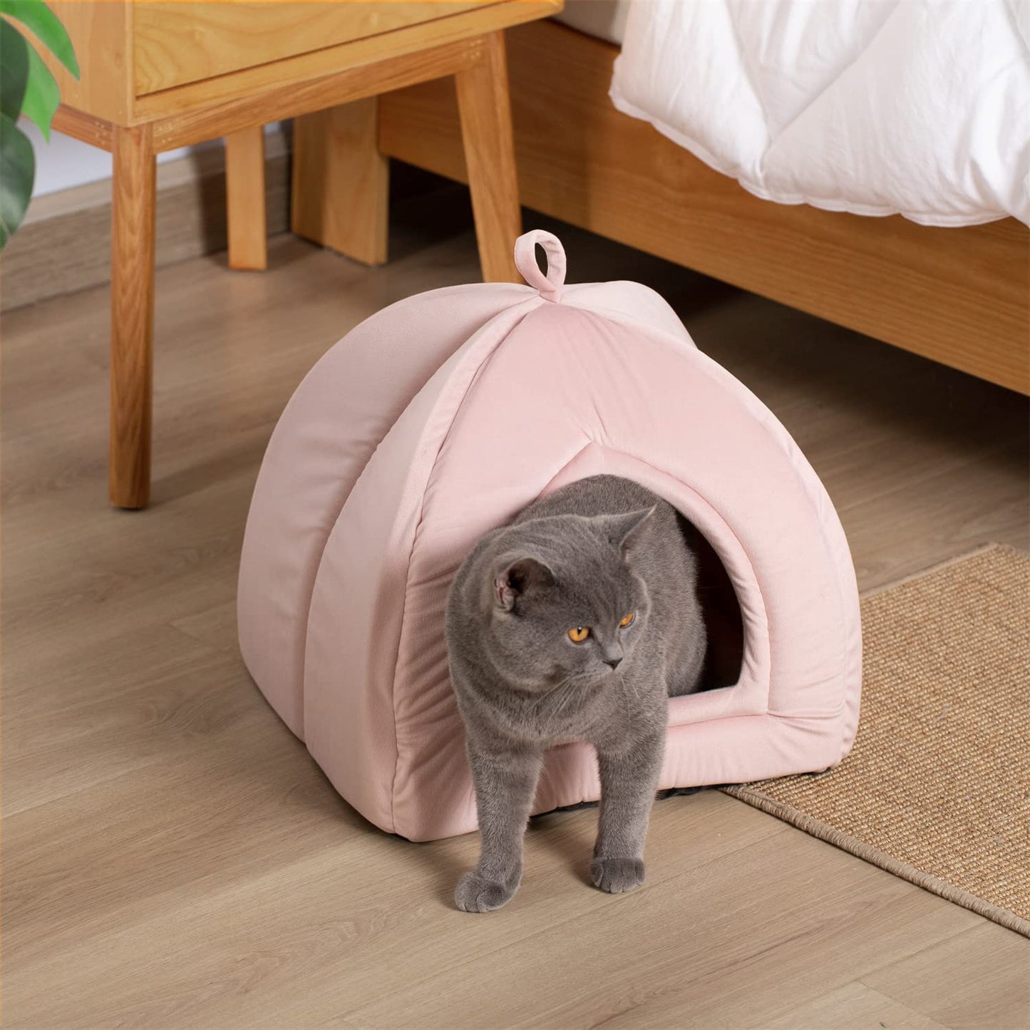 Kasentex Cat Bed, Lovely Tent with Removable Washable Pillow Cushion Kasentex