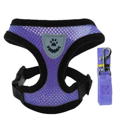 Small Dog Pet Chest and Back Breathable Dog Leash Collar Get it from Bo