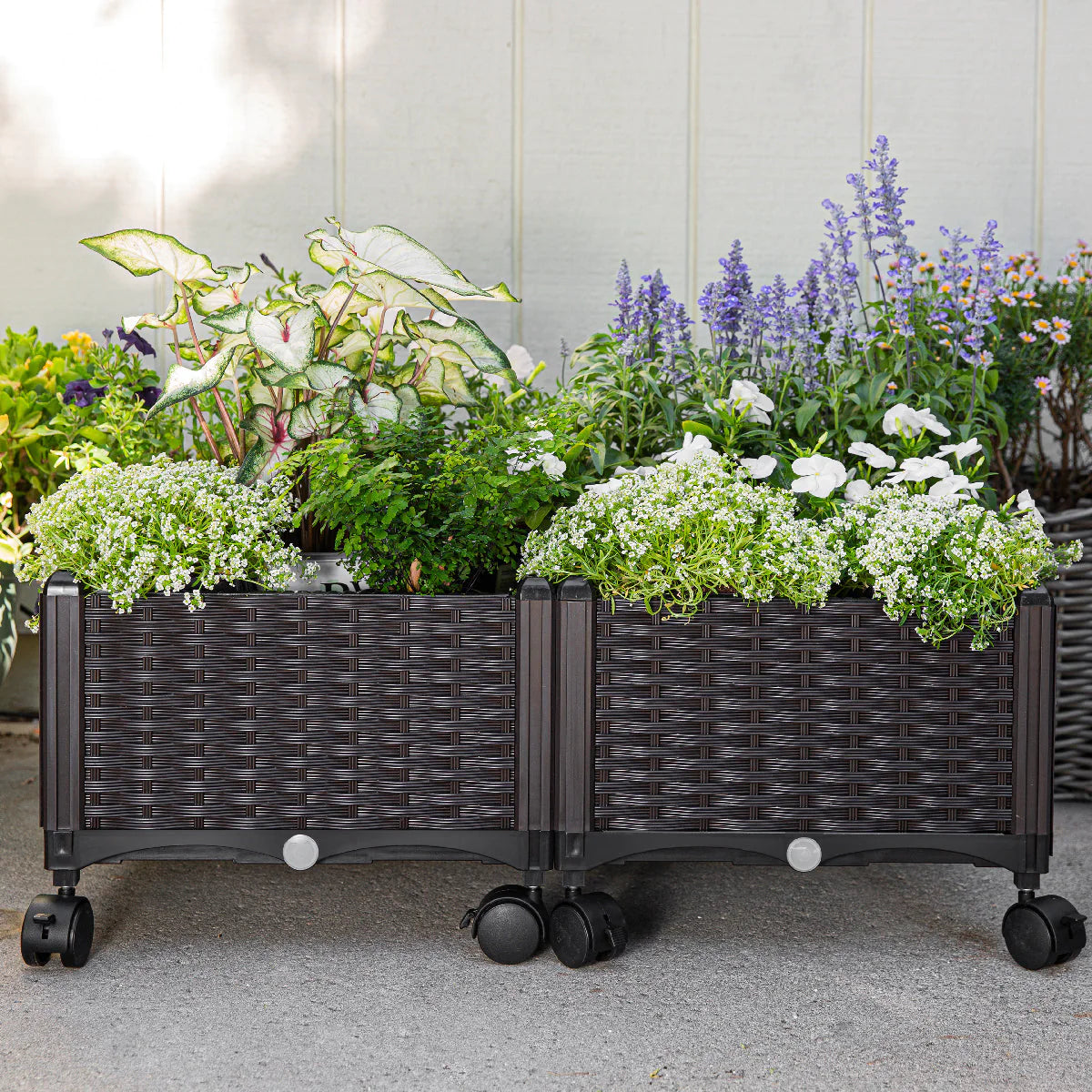 planters, pots self watering garden