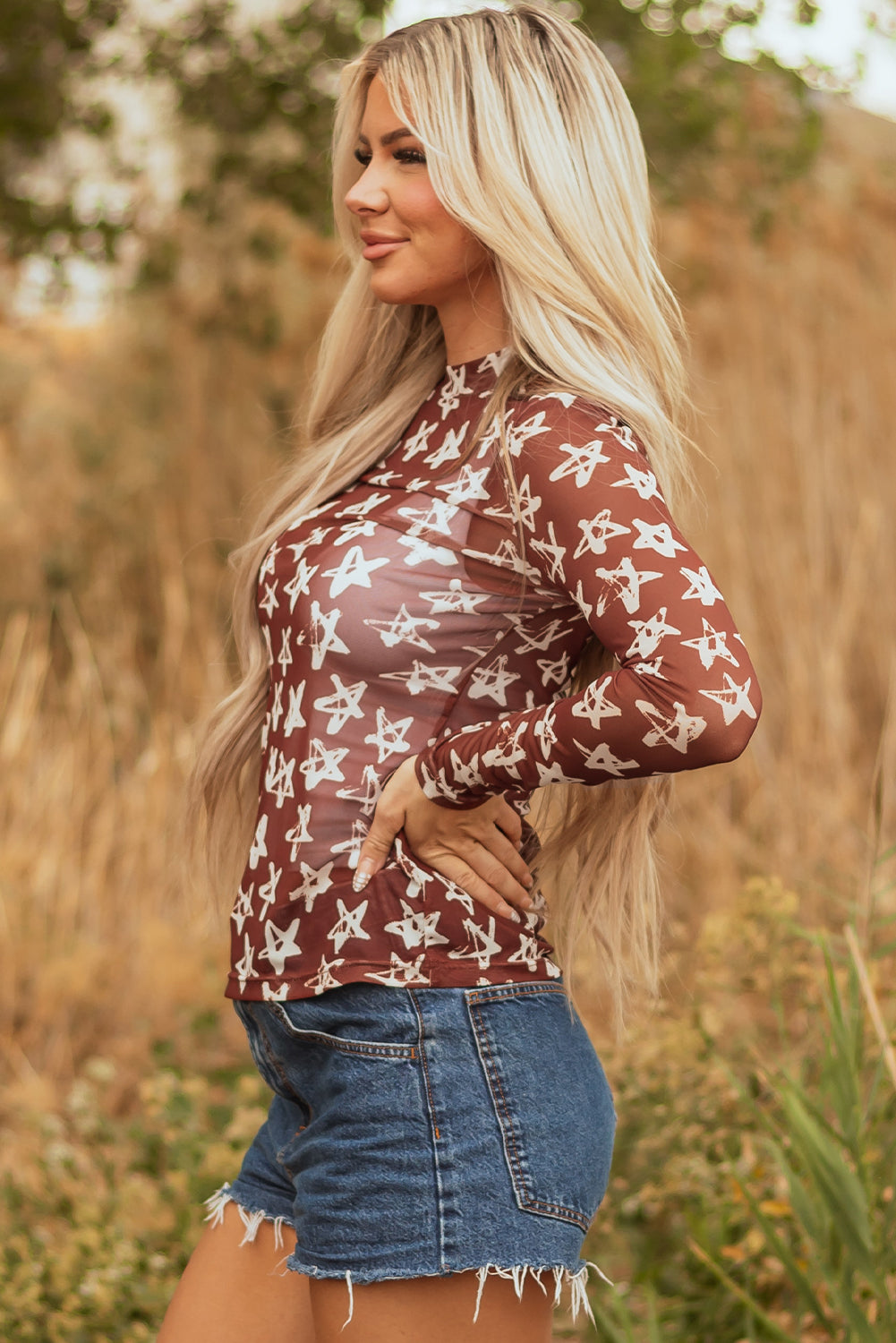 Alexandra Mesh Star Sheath Long Sleeve Top Threaded Pear