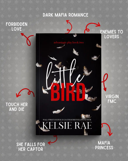 Advantage Play Series Paperback Bundle Author Kelsie Rae