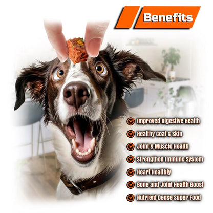 Beef Burger Bites Bad Dog Gang