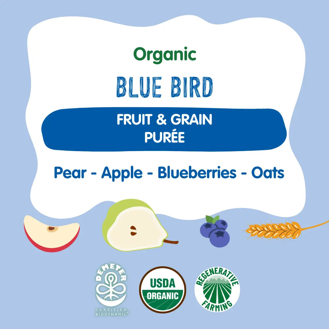 Holle Baby Food Pouches - Organic Fruit & Grain Puree - Blue Bird Holle USA