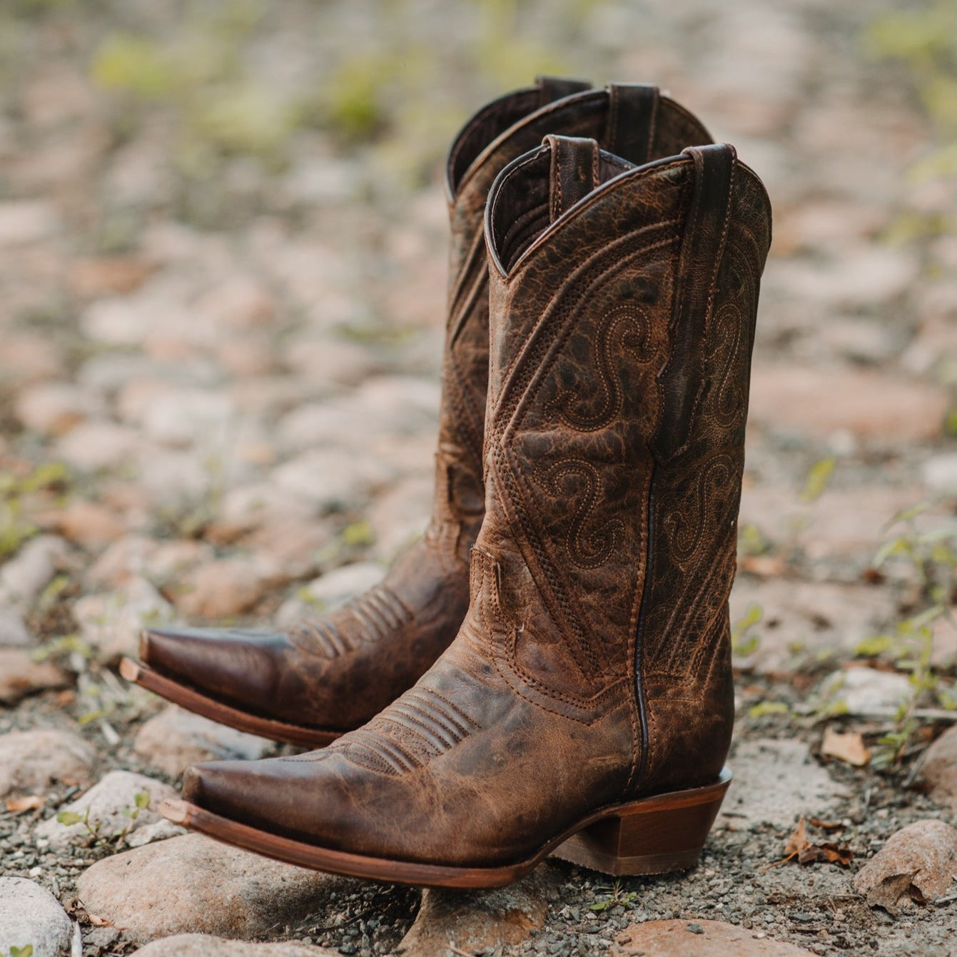Cheyenne Cowgirl Boots | Women's Snipped Toe Leather Boots (M50041) Soto Boots