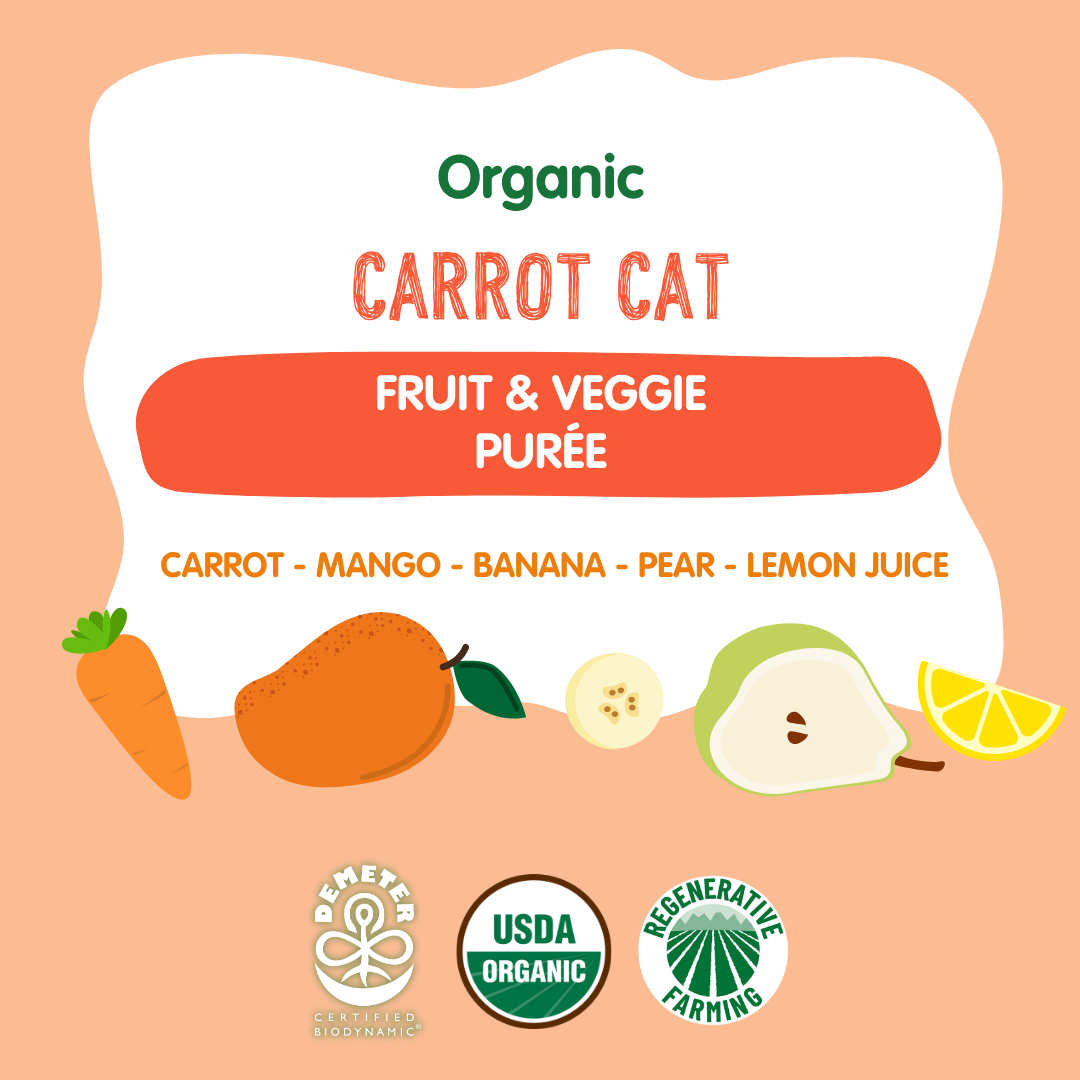Holle Baby Food Pouches - Organic Fruit & Veggie Puree - Carrot Cat Holle USA