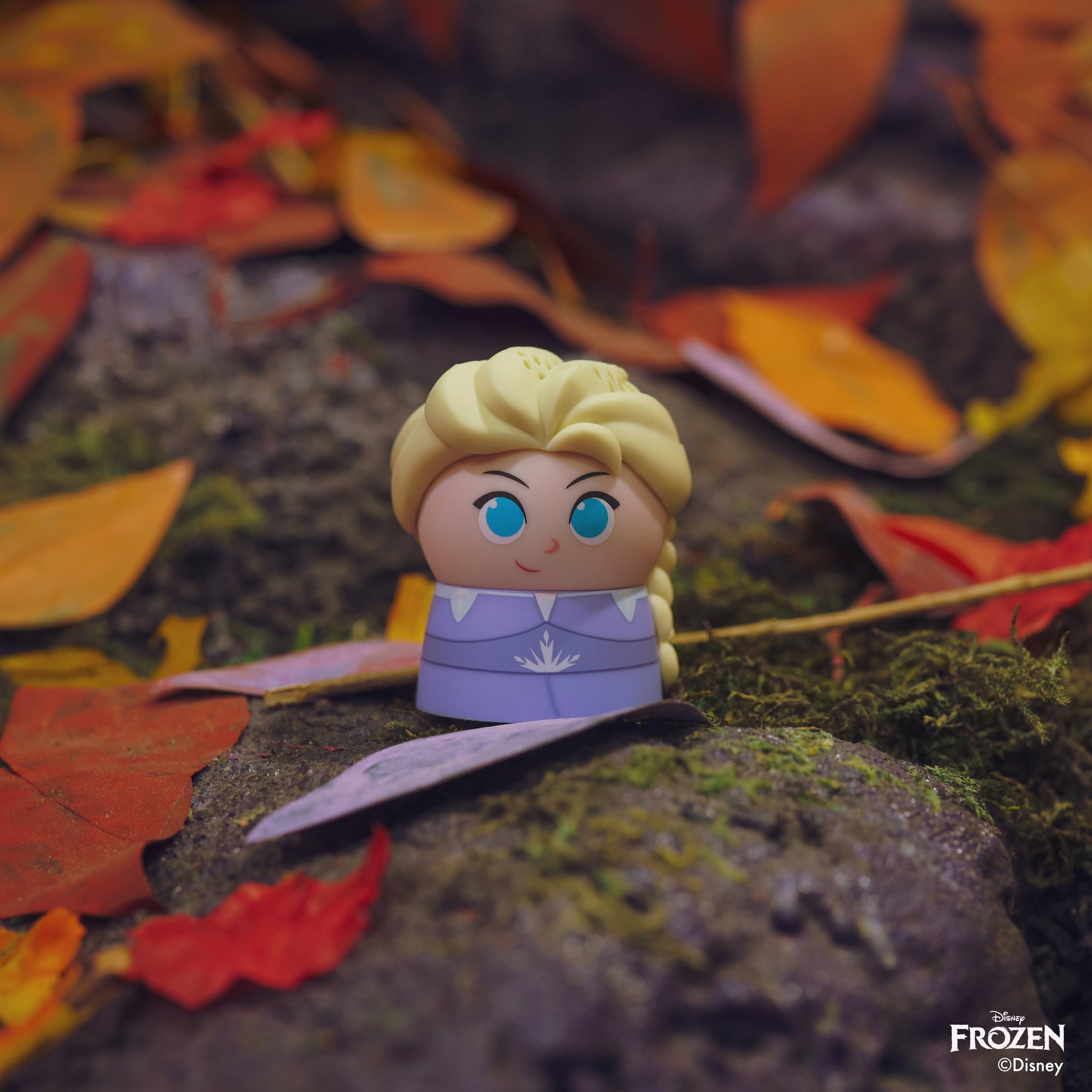 Elsa - Frozen - Get it from Bo
