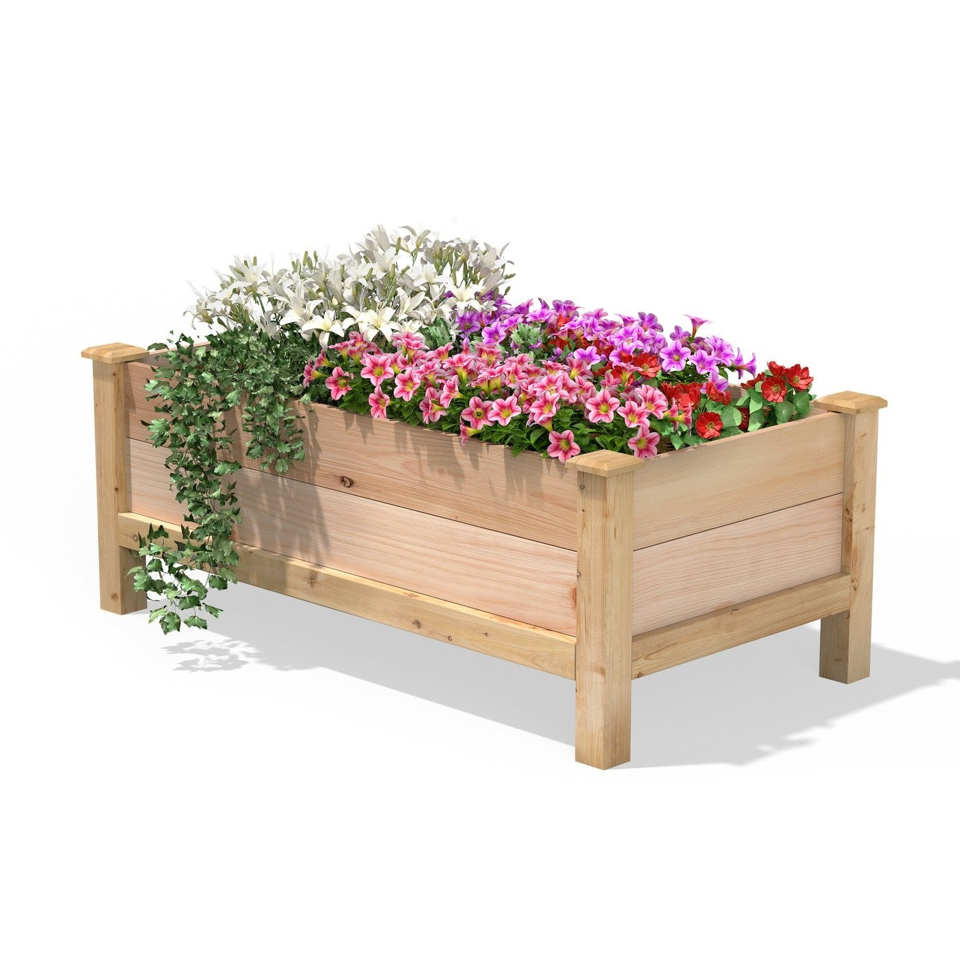 Farmhouse 24-in x 48-in x 19-in Cedar Elevated Victory Garden Bed - Made in USA FastFurnishings