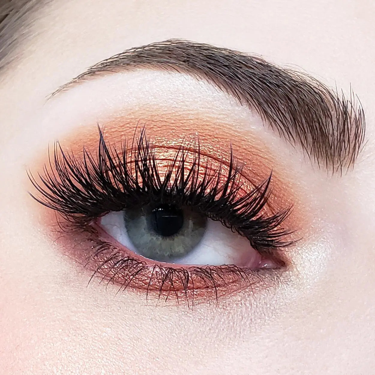 Crown Pro 10 Color Fuego Collection Crown Brush