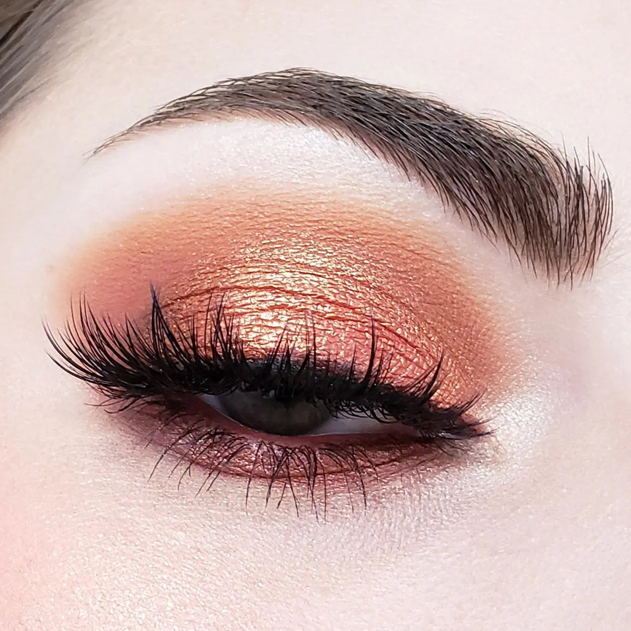 Crown Pro 10 Color Fuego Collection Crown Brush