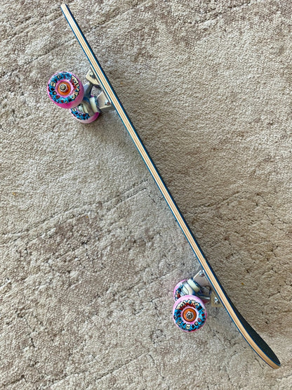 Denny Riordon Jester FREESTYLE Limited Edition 7.3”x28” HAND PAINTED (1 of 15) COMPLETE SKATEBOARD - Get it from Bo