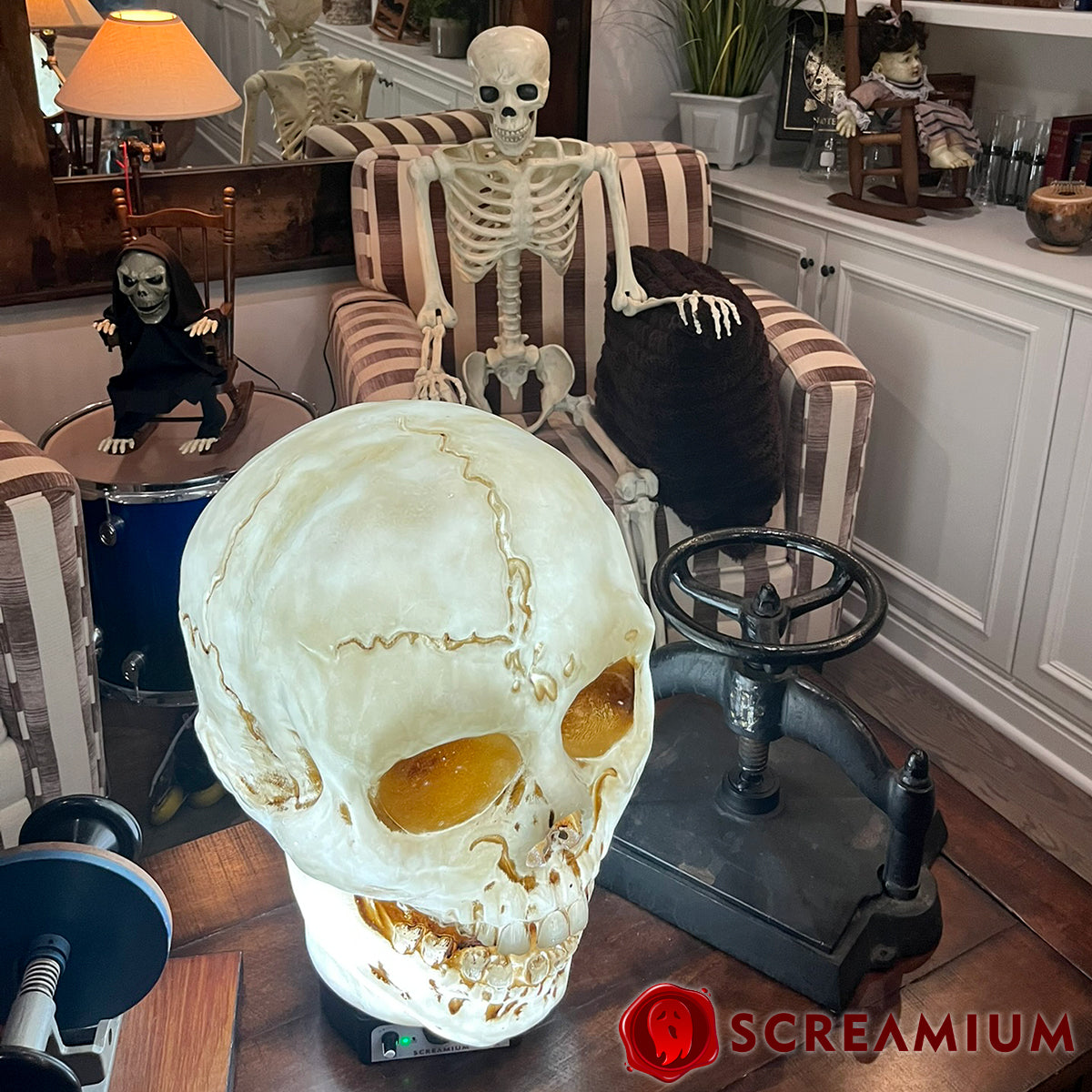 Giant Skull Animatronic Lamp Prop 20-Inch-Tall Heavy Duty Polyresin Halloween Decoration SCREAMIUM