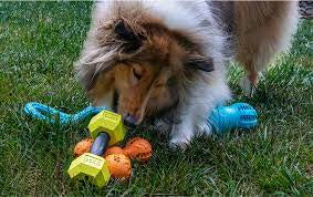 Arlee Home & Pet Max Fusion with Nike Grind Dog Toys, 4-count