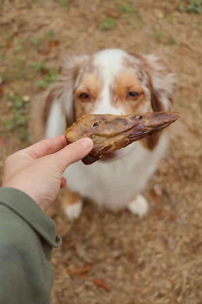 Duck Head Gaines Family Farmstead