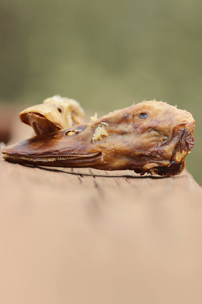Duck Head Gaines Family Farmstead