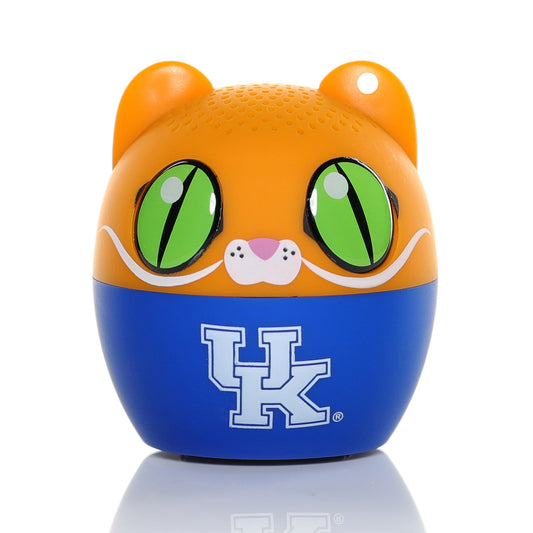 Kentucky Wildcats Bitty Boomers