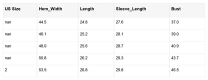 Lanabina Ripple Bubble Sleeve Blouse