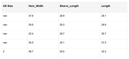 Barbara Raglan Sleeve Relaxed Shirt