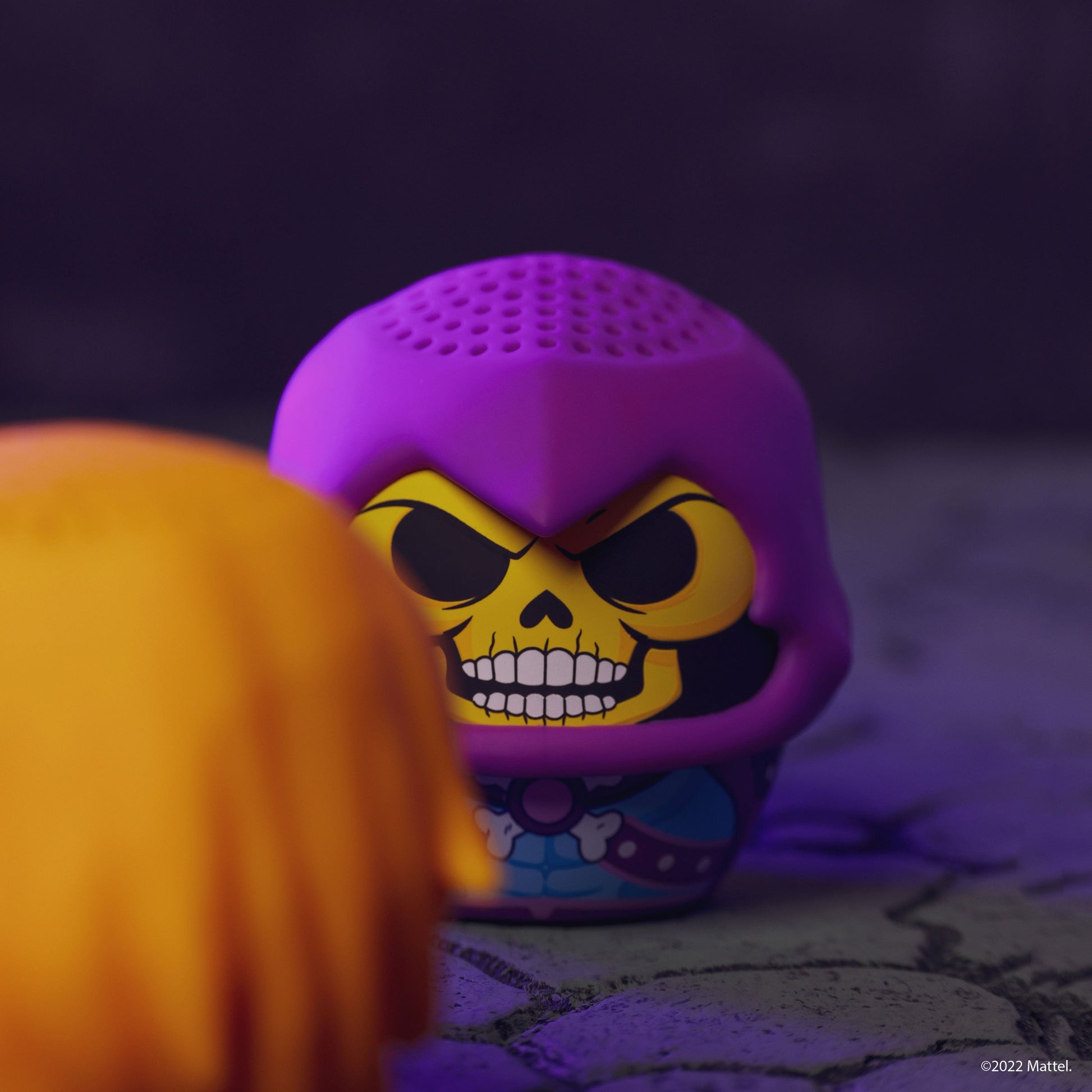 Skeletor - Get it from Bo