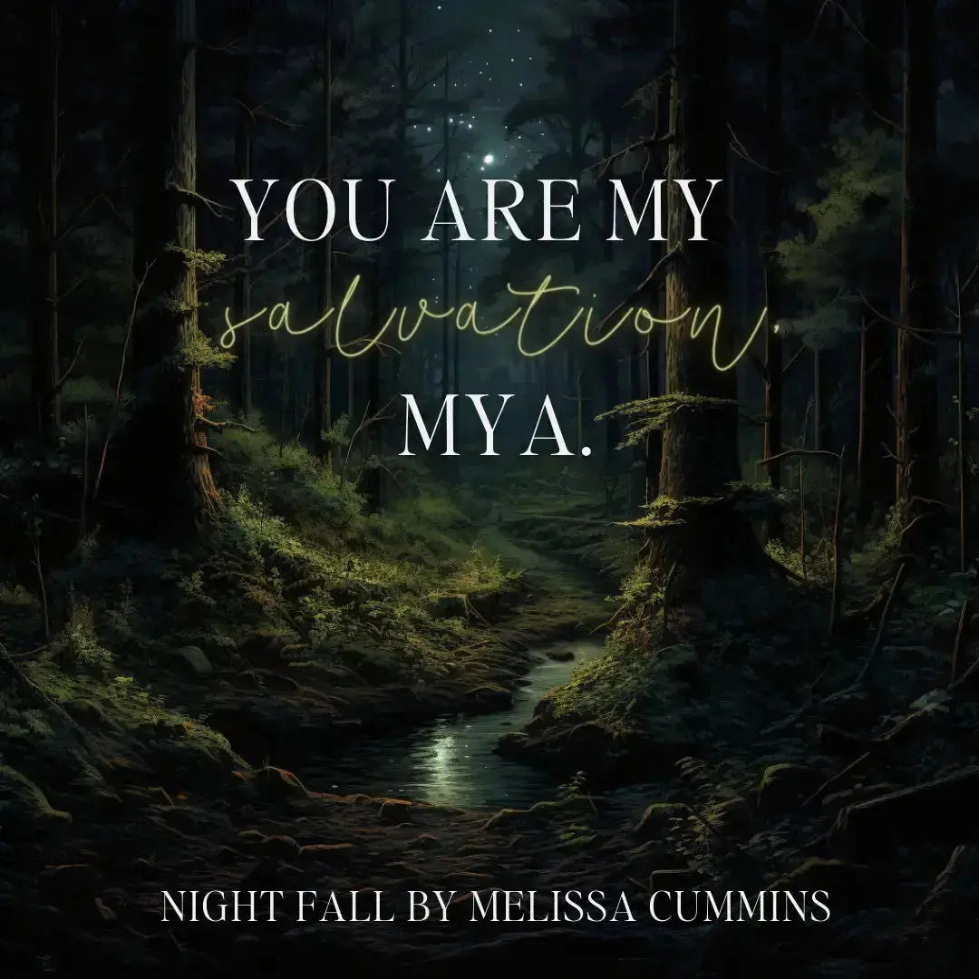Night Fall Paperback Melissa Cummins