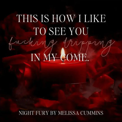 Night Fury Paperback Melissa Cummins