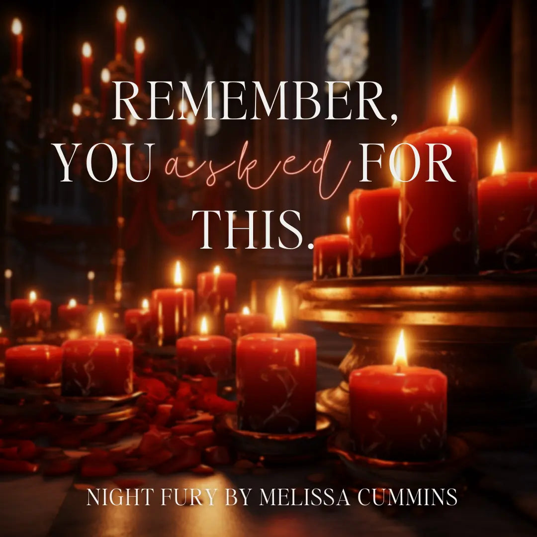 Night Fury Paperback Melissa Cummins