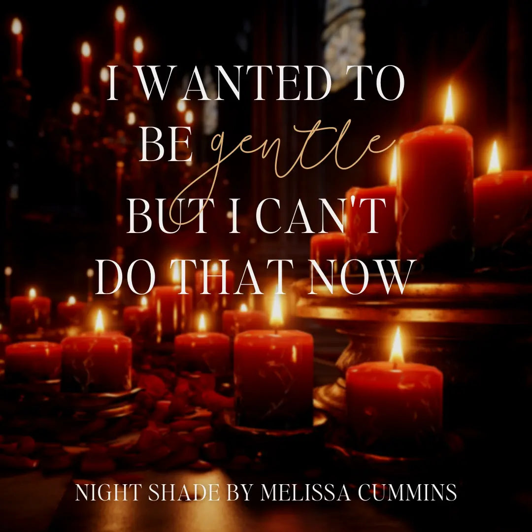 Night Fury Paperback Melissa Cummins