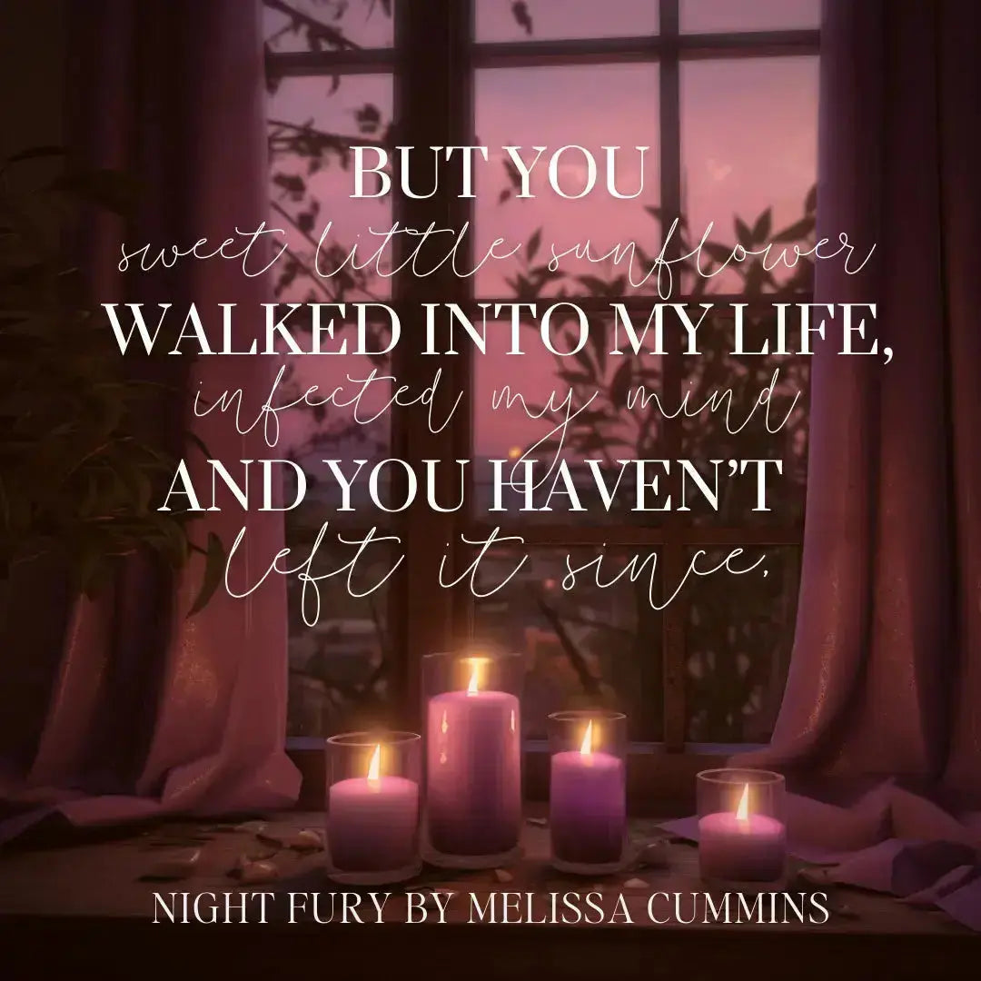 Night Fury Paperback Melissa Cummins
