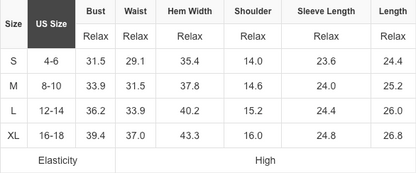 Alexandra Mesh Star Sheath Long Sleeve Top